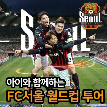 fc서울.png